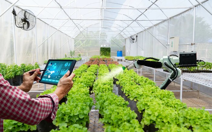 Smart farming for food production efficiency