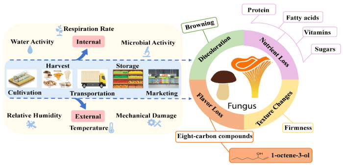 Preservation food technology overview slideshare