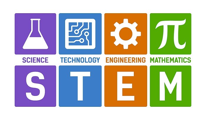 Science technology engineering math education strategy considerations stem federal elements