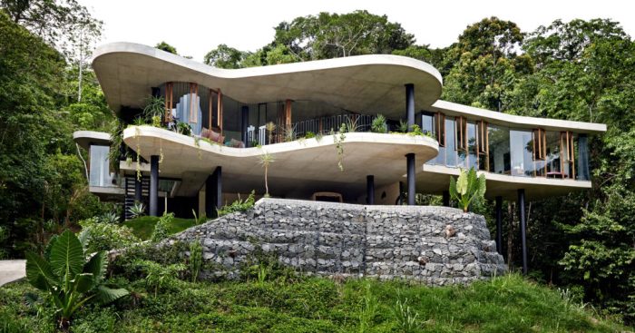 House jungle frame tropical costa rica modernism elevated saxe studio treehouses archdaily interior architecture lachner andres garcia landscape