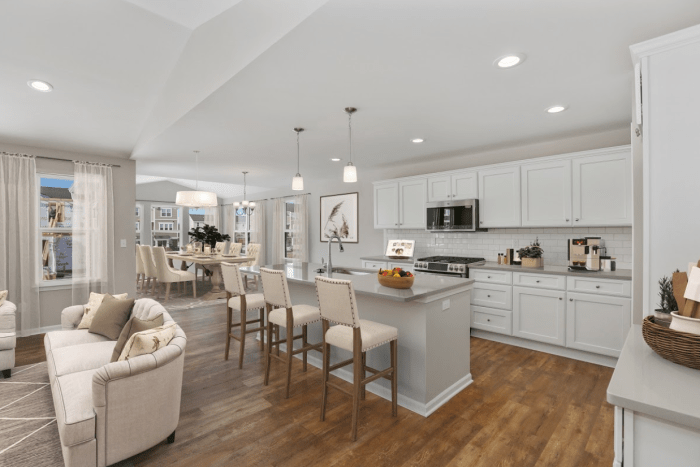 Open concept American Classic kitchen